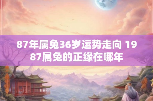 87年属兔36岁运势走向 1987属兔的正缘在哪年