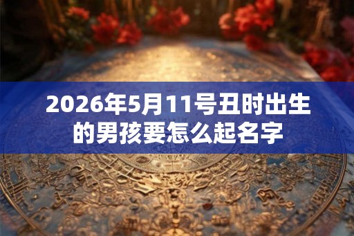 2026年5月11号丑时出生的男孩要怎么起名字