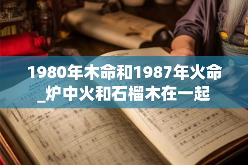 1980年木命和1987年火命_炉中火和石榴木在一起