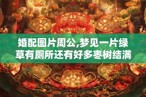 婚配图片周公,梦见一片绿草有厕所还有好多枣树结满红枣