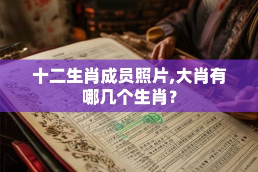 十二生肖成员照片,大肖有哪几个生肖？