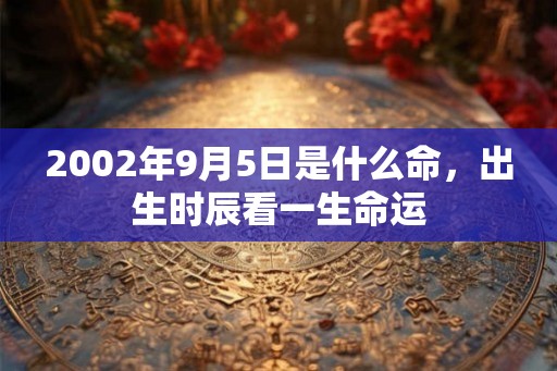 2002年9月5日是什么命,出生时辰看一生命运 2002年9月5日是什么命,出生时辰看一生命运