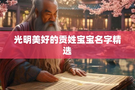 光明美好的贡姓宝宝名字精选
