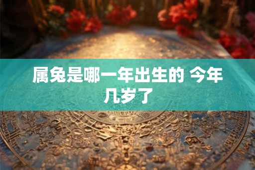 属兔是哪一年出生的 今年几岁了