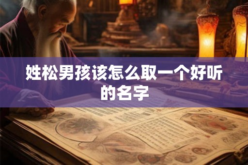 姓松男孩该怎么取一个好听的名字 姓松男孩该怎么取一个好听的名字