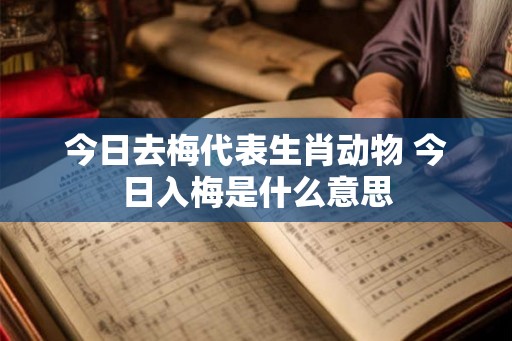 今日去梅代表生肖动物 今日入梅是什么意思