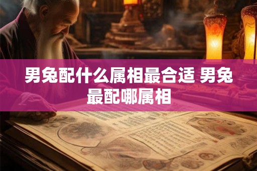 男兔配什么属相最合适 男兔最配哪属相