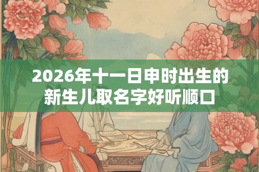2026年十一日申时出生的新生儿取名字好听顺口
