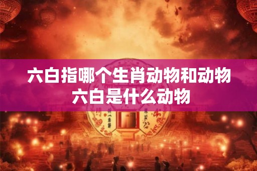 六白指哪个生肖动物和动物 六白是什么动物
