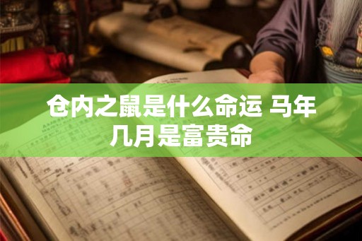仓内之鼠是什么命运 马年几月是富贵命