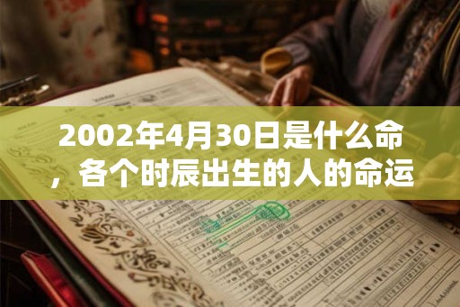 2002年4月30日是什么命，各个时辰出生的人的命运