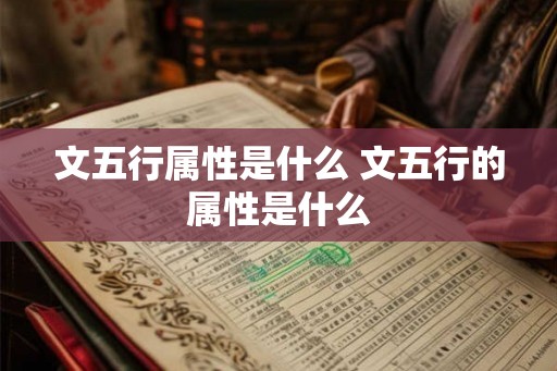 文五行属性是什么 文五行的属性是什么