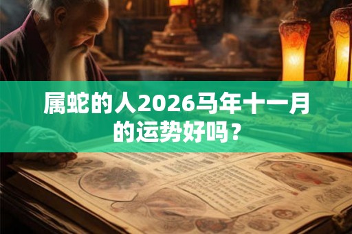 属蛇的人2026马年十一月的运势好吗？