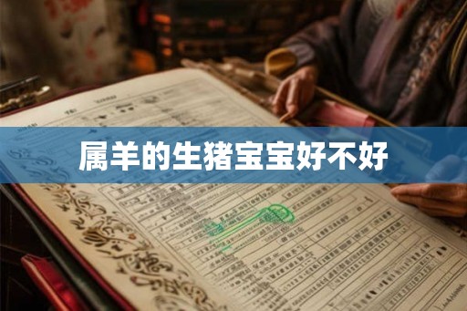 属羊的生猪宝宝好不好