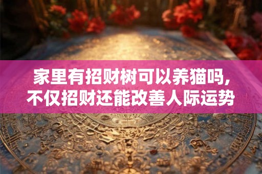 家里有招财树可以养猫吗,不仅招财还能改善人际运势