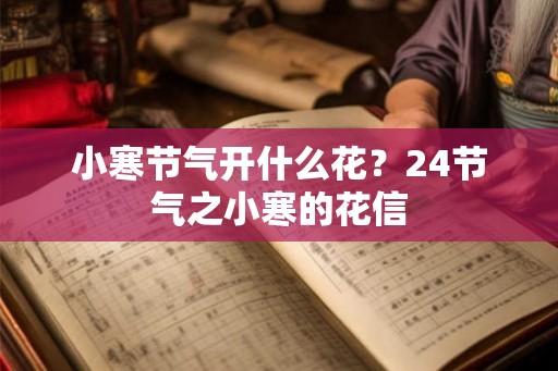 小寒节气开什么花？24节气之小寒的花信