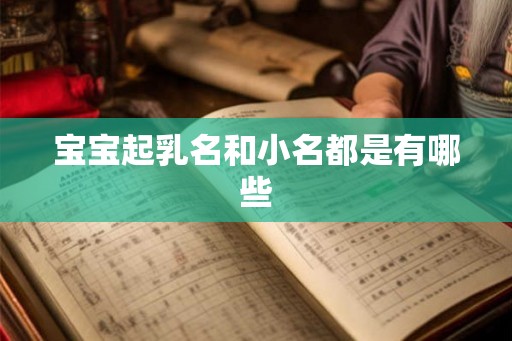 宝宝起乳名和小名都是有哪些