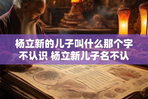 杨立新的儿子叫什么那个字不认识 杨立新儿子名不认识