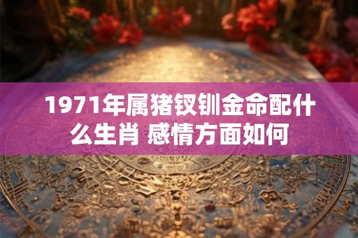 1971年属猪钗钏金命配什么生肖 感情方面如何 1971年属猪钗钏金命配什么生肖 感情方面如何