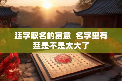 廷字取名的寓意 名字里有廷是不是太大了 廷字取名的寓意 名字里有廷是不是太大了