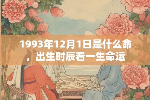 1993年12月1日是什么命，出生时辰看一生命运