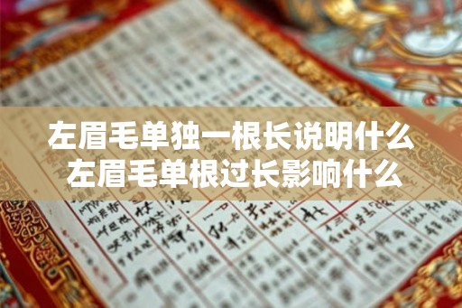 左眉毛单独一根长说明什么 左眉毛单根过长影响什么 左眉毛单独一根长说明什么 左眉毛单根过长影响什么
