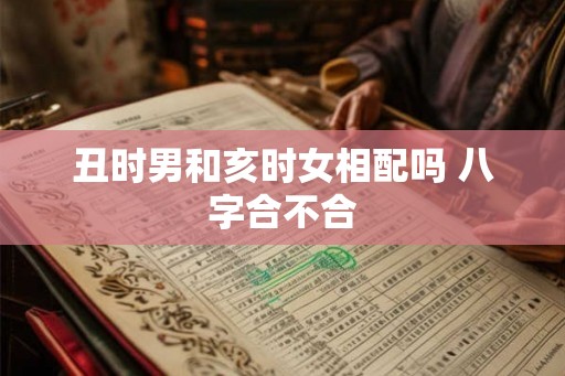 丑时男和亥时女相配吗 八字合不合