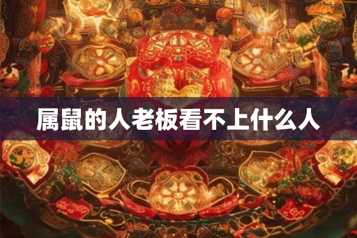 属鼠的人老板看不上什么人