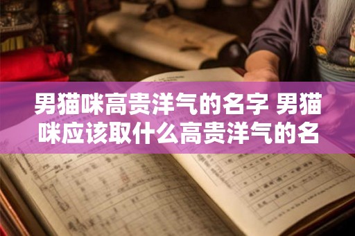 男猫咪高贵洋气的名字 男猫咪应该取什么高贵洋气的名字