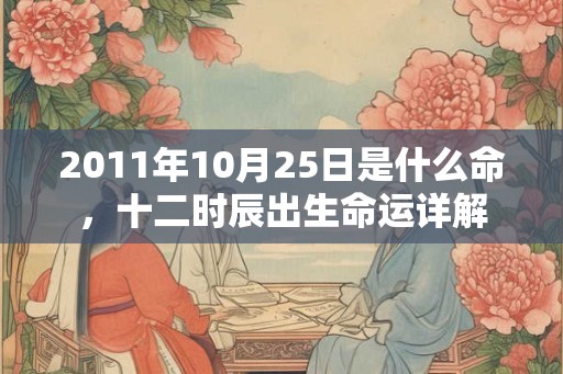 2011年10月25日是什么命，十二时辰出生命运详解