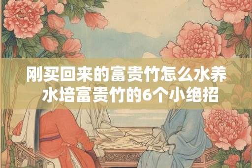 刚买回来的富贵竹怎么水养  水培富贵竹的6个小绝招