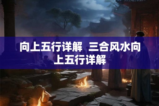 向上五行详解  三合风水向上五行详解