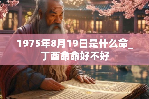 1975年8月19日是什么命_丁酉命命好不好
