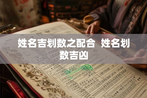 姓名吉划数之配合  姓名划数吉凶