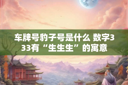 车牌号豹子号是什么 数字333有“生生生”的寓意