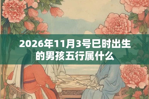 2026年11月3号巳时出生的男孩五行属什么