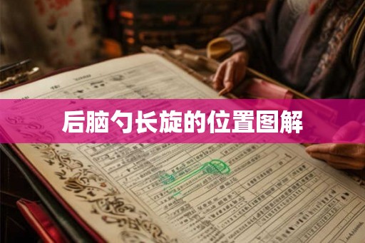 后脑勺长旋的位置图解