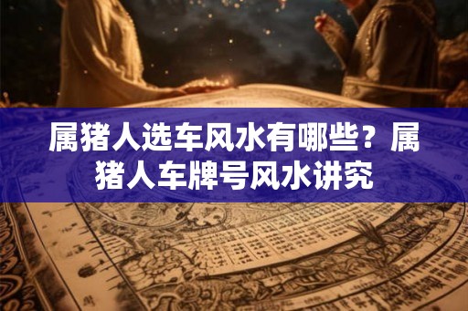 属猪人选车风水有哪些？属猪人车牌号风水讲究
