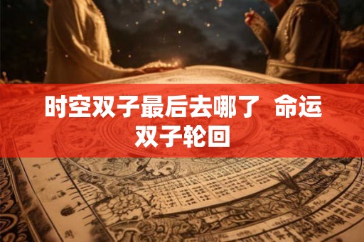 时空双子最后去哪了  命运双子轮回