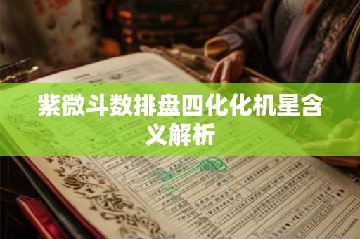 紫微斗数排盘四化化机星含义解析