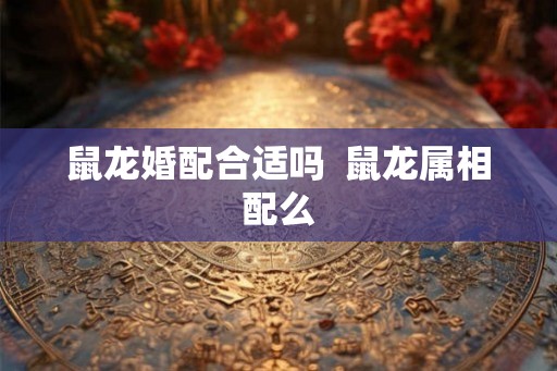 鼠龙婚配合适吗  鼠龙属相配么