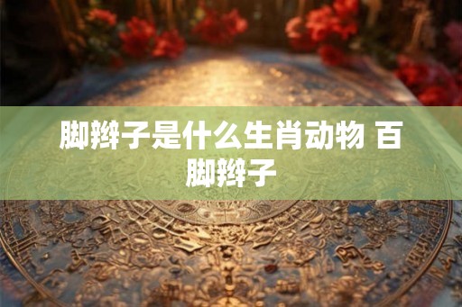 脚辫子是什么生肖动物 百脚辫子