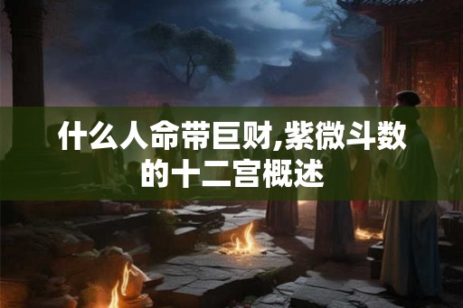 什么人命带巨财,紫微斗数的十二宫概述