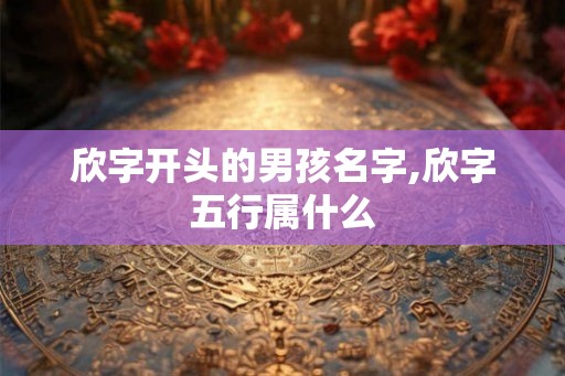 欣字开头的男孩名字,欣字五行属什么