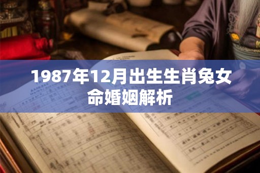 1987年12月出生生肖兔女命婚姻解析 1987年12月出生生肖兔女命婚姻解析