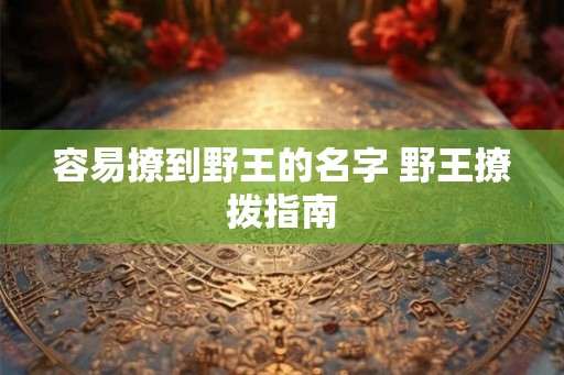 容易撩到野王的名字 野王撩拨指南