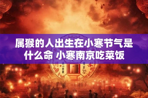 属猴的人出生在小寒节气是什么命 小寒南京吃菜饭