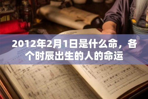 2012年2月1日是什么命，各个时辰出生的人的命运