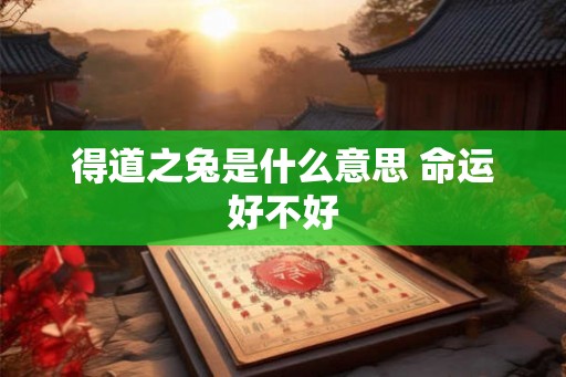 得道之兔是什么意思 命运好不好