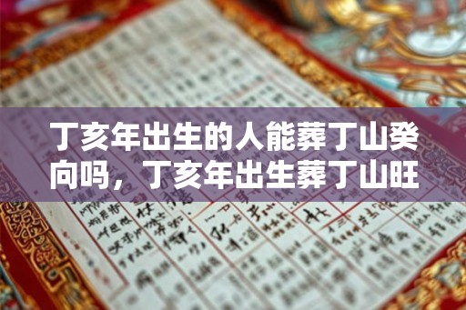 丁亥年出生的人能葬丁山癸向吗，丁亥年出生葬丁山旺子孙吗
